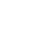 300 acer