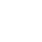 300 amd