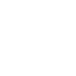 300 asus