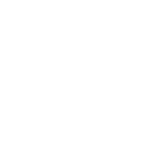 300 lenovo