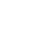 300 nvidia