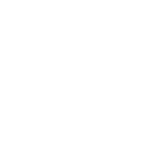 300 synology